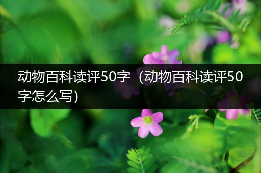 动物百科读评50字（动物百科读评50字怎么写）