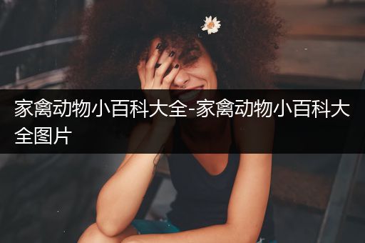 家禽动物小百科大全-家禽动物小百科大全图片