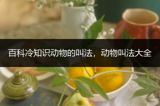 百科冷知识动物的叫法，动物叫法大全