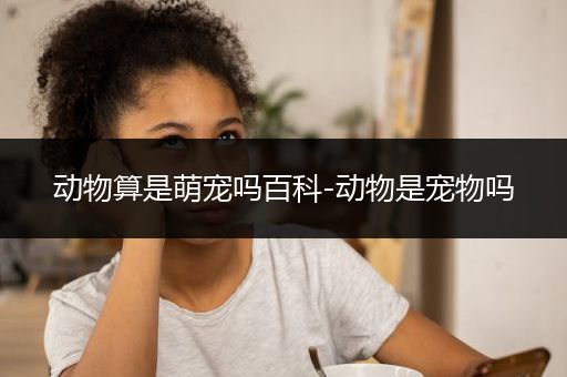 动物算是萌宠吗百科-动物是宠物吗