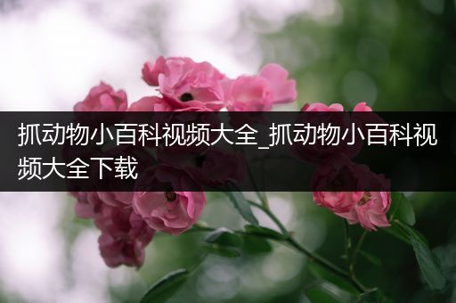抓动物小百科视频大全_抓动物小百科视频大全下载