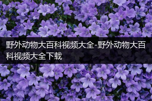 野外动物大百科视频大全-野外动物大百科视频大全下载