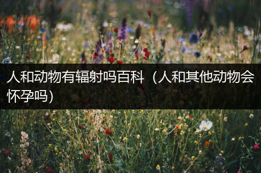 人和动物有辐射吗百科（人和其他动物会怀孕吗）