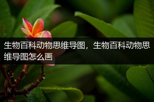 生物百科动物思维导图，生物百科动物思维导图怎么画