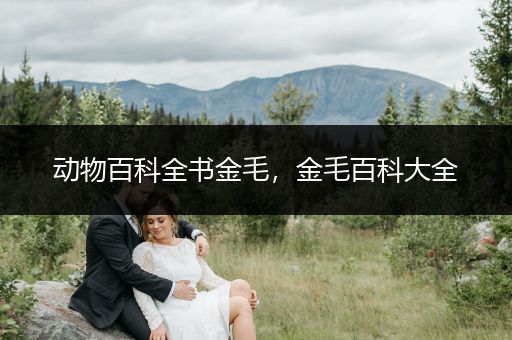动物百科全书金毛，金毛百科大全