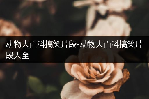 动物大百科搞笑片段-动物大百科搞笑片段大全
