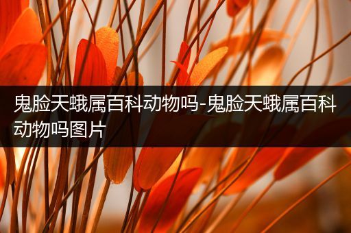 鬼脸天蛾属百科动物吗-鬼脸天蛾属百科动物吗图片