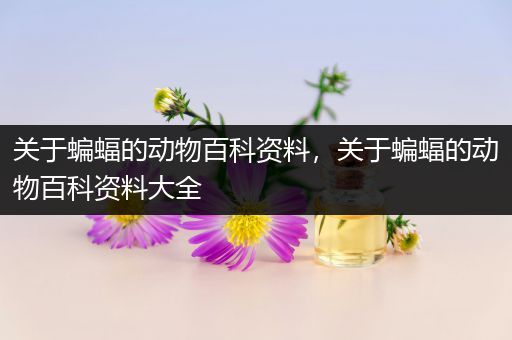 关于蝙蝠的动物百科资料，关于蝙蝠的动物百科资料大全