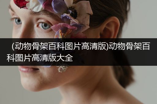 （动物骨架百科图片高清版)动物骨架百科图片高清版大全