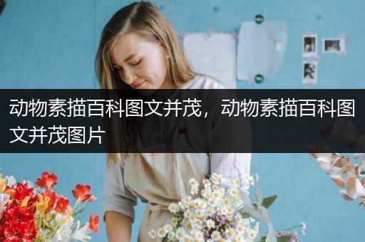 动物素描百科图文并茂，动物素描百科图文并茂图片