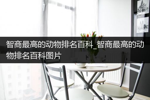 智商最高的动物排名百科_智商最高的动物排名百科图片