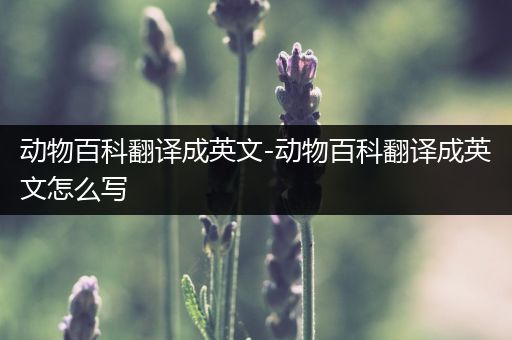 动物百科翻译成英文-动物百科翻译成英文怎么写