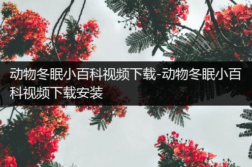 动物冬眠小百科视频下载-动物冬眠小百科视频下载安装