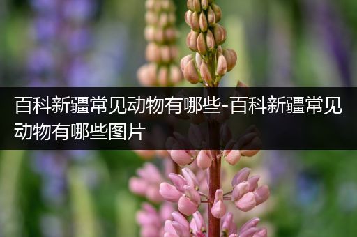 百科新疆常见动物有哪些-百科新疆常见动物有哪些图片