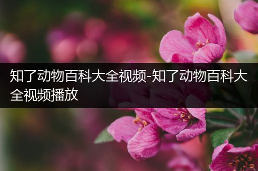 知了动物百科大全视频-知了动物百科大全视频播放