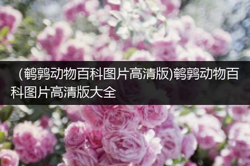 （鹌鹑动物百科图片高清版)鹌鹑动物百科图片高清版大全