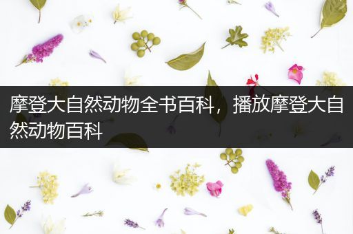 摩登大自然动物全书百科，播放摩登大自然动物百科