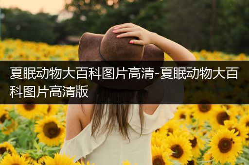 夏眠动物大百科图片高清-夏眠动物大百科图片高清版