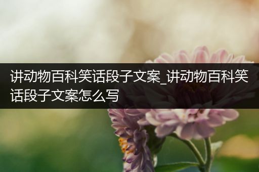 讲动物百科笑话段子文案_讲动物百科笑话段子文案怎么写