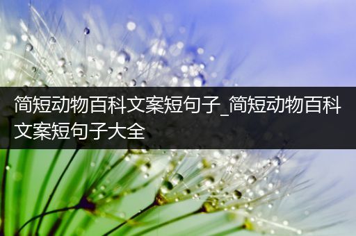 简短动物百科文案短句子_简短动物百科文案短句子大全