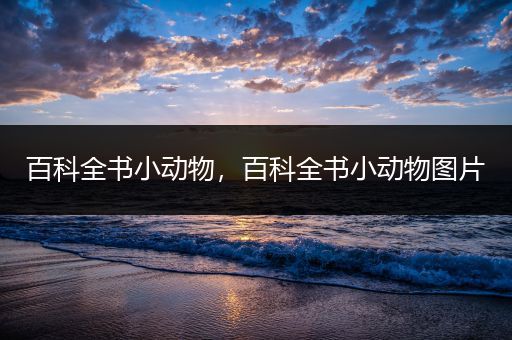 百科全书小动物，百科全书小动物图片
