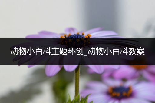 动物小百科主题环创_动物小百科教案