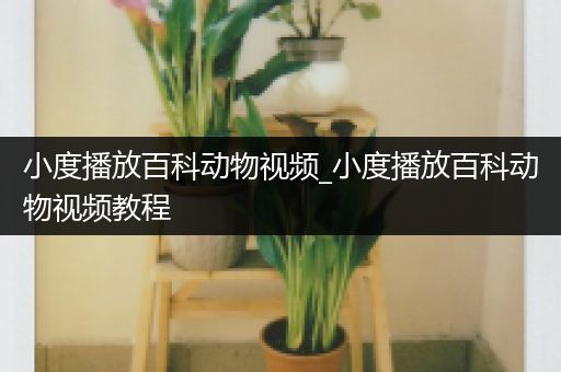 小度播放百科动物视频_小度播放百科动物视频教程