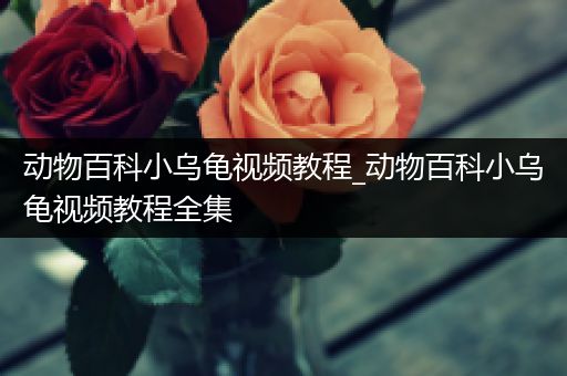 动物百科小乌龟视频教程_动物百科小乌龟视频教程全集