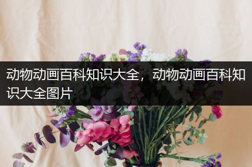 动物动画百科知识大全，动物动画百科知识大全图片