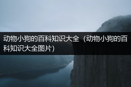 动物小狗的百科知识大全（动物小狗的百科知识大全图片）