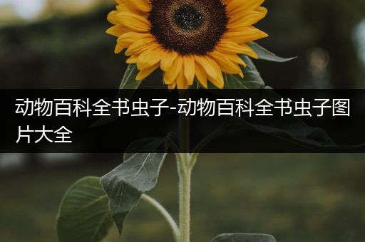 动物百科全书虫子-动物百科全书虫子图片大全