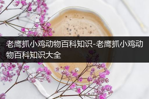 老鹰抓小鸡动物百科知识-老鹰抓小鸡动物百科知识大全