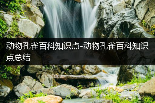 动物孔雀百科知识点-动物孔雀百科知识点总结