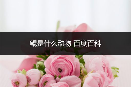 鲲是什么动物 百度百科