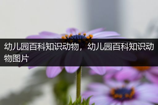 幼儿园百科知识动物，幼儿园百科知识动物图片