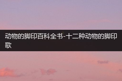 动物的脚印百科全书-十二种动物的脚印歌