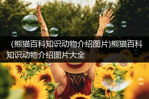 （熊猫百科知识动物介绍图片)熊猫百科知识动物介绍图片大全