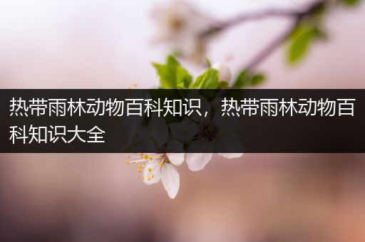 热带雨林动物百科知识，热带雨林动物百科知识大全