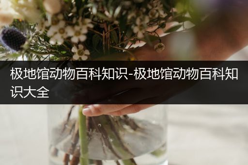 极地馆动物百科知识-极地馆动物百科知识大全