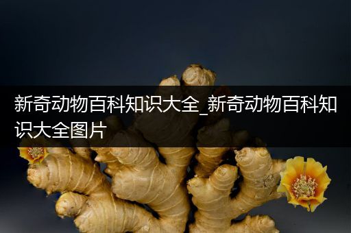 新奇动物百科知识大全_新奇动物百科知识大全图片