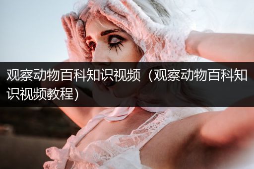 观察动物百科知识视频（观察动物百科知识视频教程）