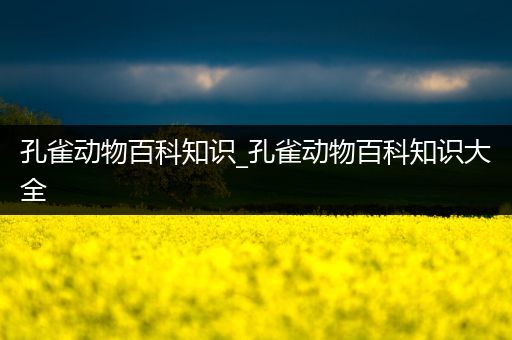 孔雀动物百科知识_孔雀动物百科知识大全