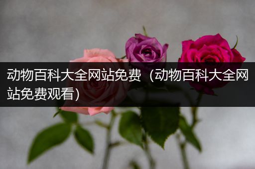 动物百科大全网站免费（动物百科大全网站免费观看）