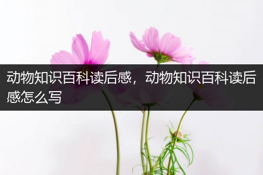 动物知识百科读后感，动物知识百科读后感怎么写