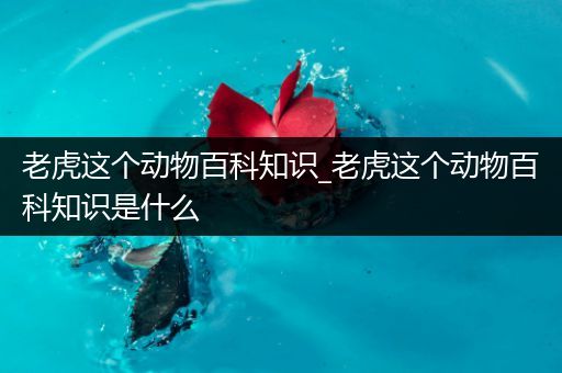 老虎这个动物百科知识_老虎这个动物百科知识是什么