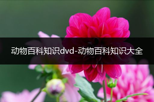 动物百科知识dvd-动物百科知识大全