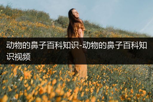 动物的鼻子百科知识-动物的鼻子百科知识视频