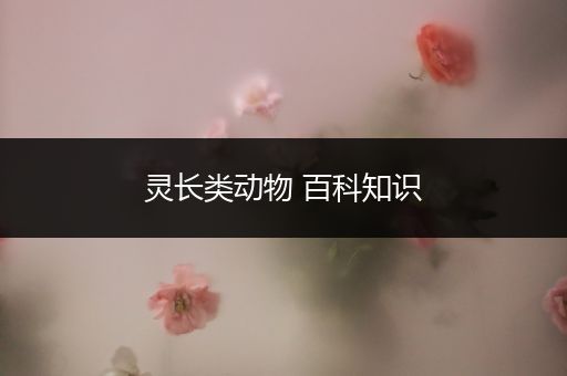 灵长类动物 百科知识