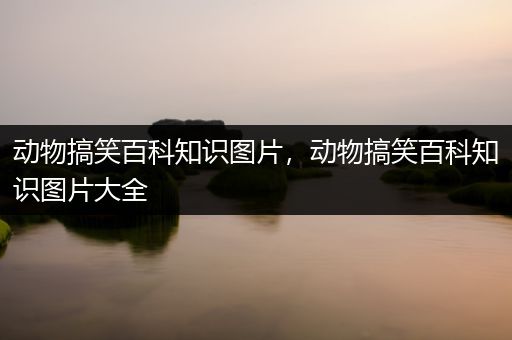 动物搞笑百科知识图片，动物搞笑百科知识图片大全