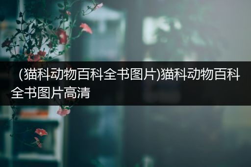 （猫科动物百科全书图片)猫科动物百科全书图片高清